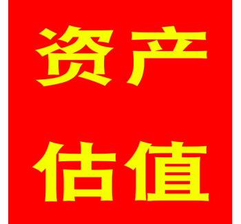 固定资产估值服务